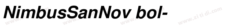 NimbusSanNov bol字体转换